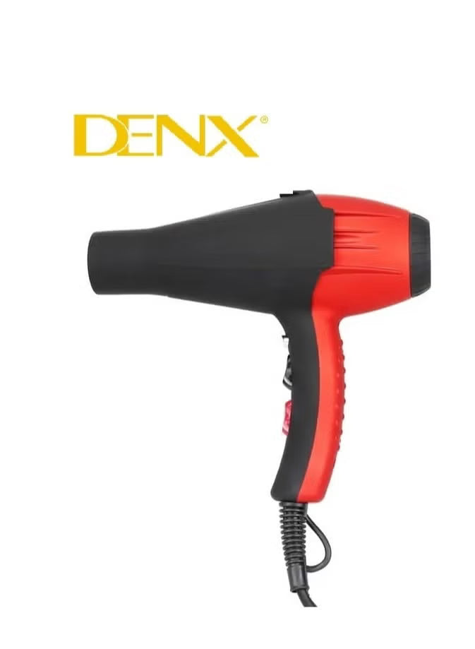Professional Hair Dryer